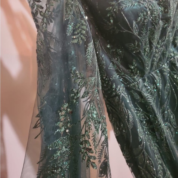 Green Sparkly Evening Gown - Picture 8 of 9